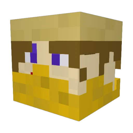 sunnypowers Minecraft avatar head, 3D render