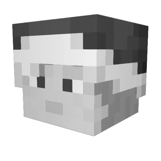sunnyside6032 Minecraft avatar head, 3D render