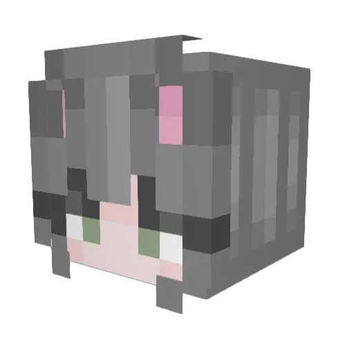 sunnystep Minecraft avatar head, 3D render