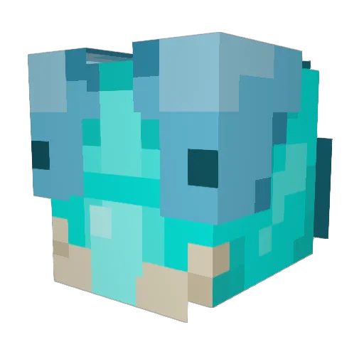 sunnysynergy Minecraft avatar head, 3D render