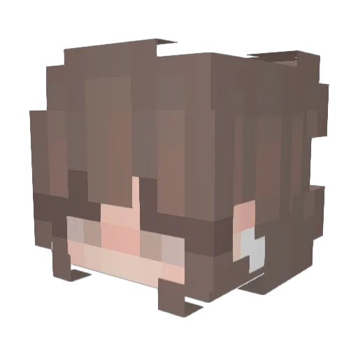 sunnything Minecraft avatar head, 3D render