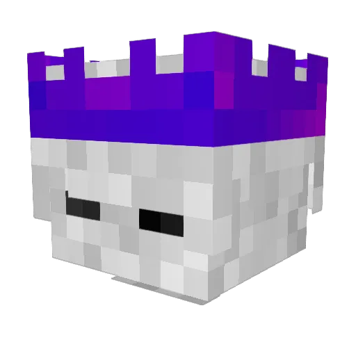 sunnyturtle12 Minecraft avatar head, 3D render