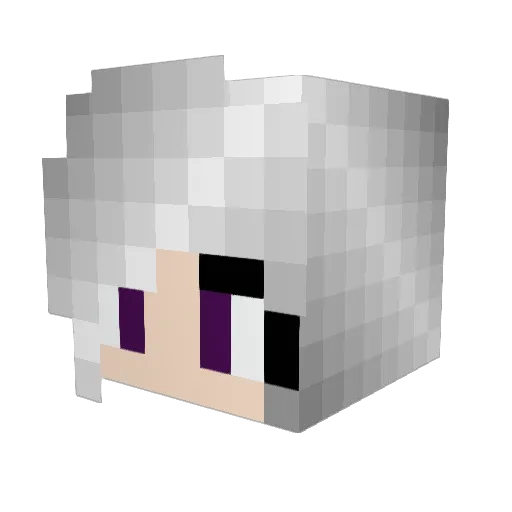 sunnyw57 Minecraft avatar head, 3D render