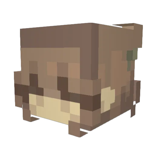 sunnyyjayy Minecraft avatar head, 3D render