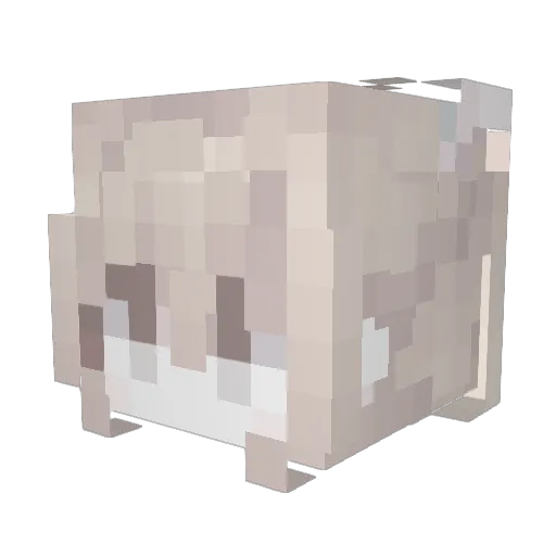 sunnyykx Minecraft avatar head, 3D render