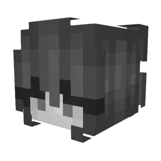 sunriseflower Minecraft avatar head, 3D render