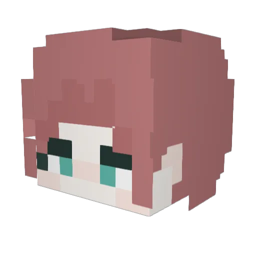 sunsbloom Minecraft avatar head, 3D render