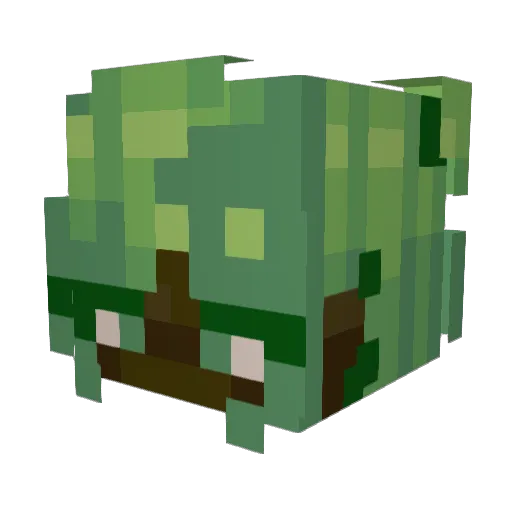 sunsecret Minecraft avatar head, 3D render
