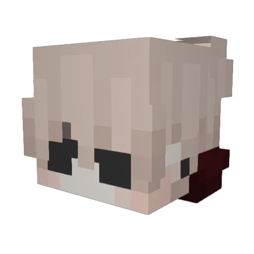 sunsensitivity Minecraft avatar head, 3D render
