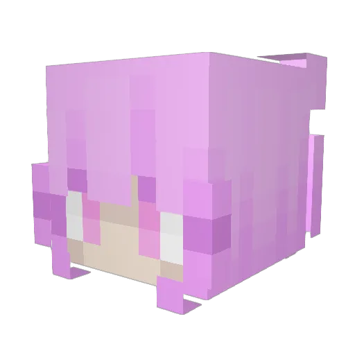 sunsett67 Minecraft avatar head, 3D render