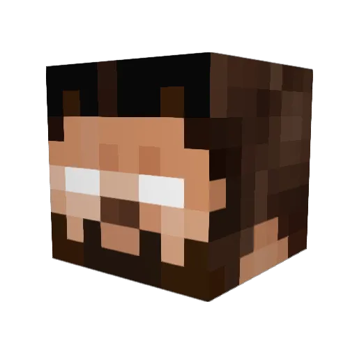 sunshags Minecraft avatar head, 3D render