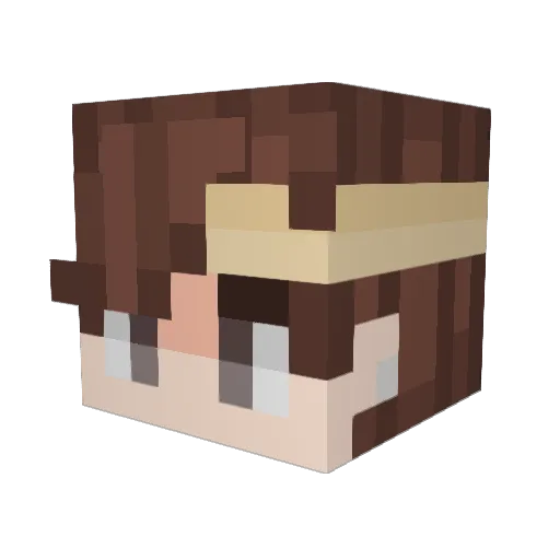 sunshine0314 Minecraft avatar head, 3D render