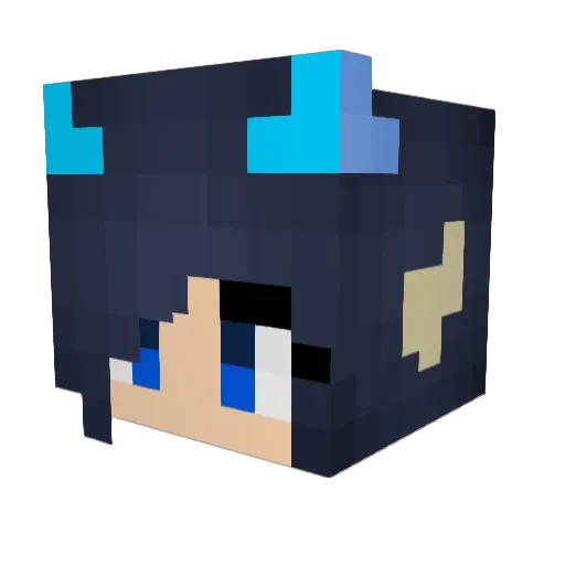 sunshine1961 Minecraft avatar head, 3D render