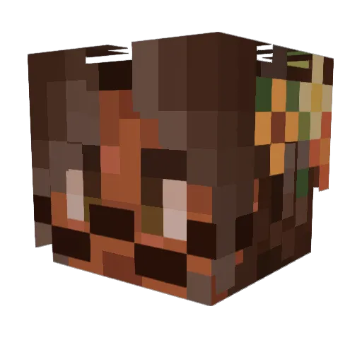 sunshinecollect Minecraft avatar head, 3D render