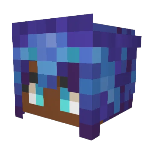 sunshinecourt Minecraft avatar head, 3D render
