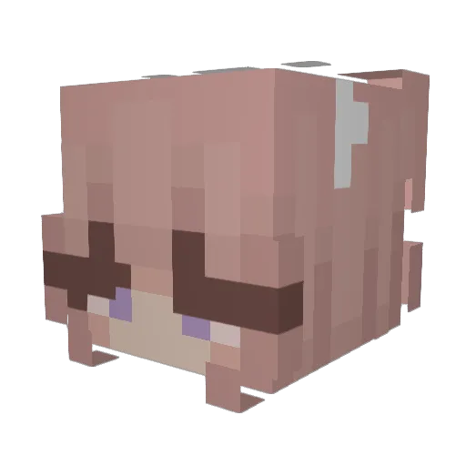 sunshinekylie Minecraft avatar head, 3D render