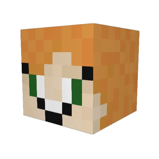 sunshining13 Minecraft avatar head, 3D render