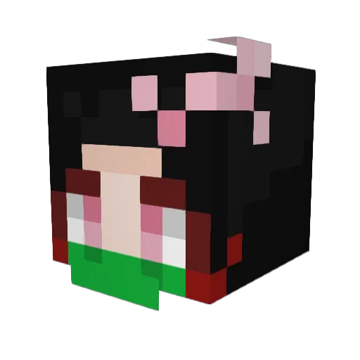 sunshyboy Minecraft avatar head, 3D render