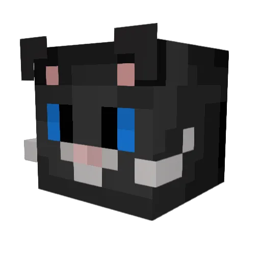 sunshyyx Minecraft avatar head, 3D render
