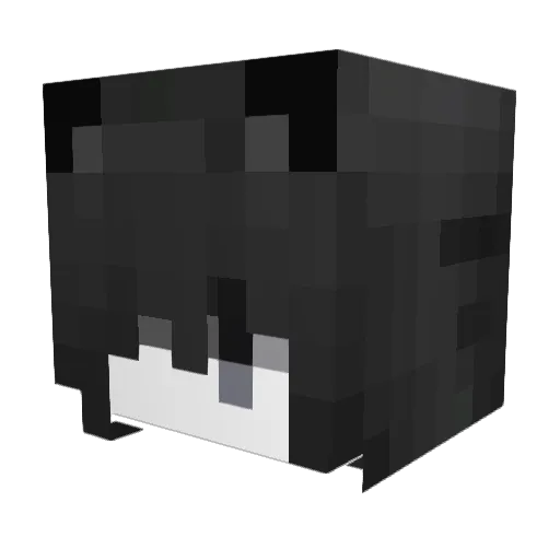 sunsita Minecraft avatar head, 3D render