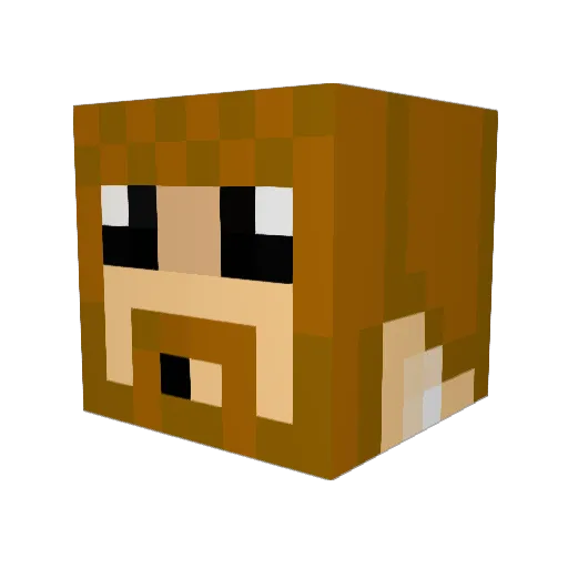 sunsteve Minecraft avatar head, 3D render