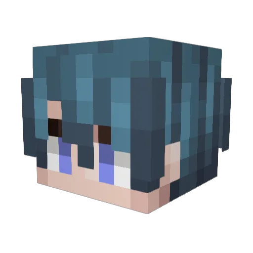 suntalker Minecraft avatar head, 3D render
