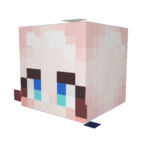 sunwoo14 Minecraft avatar head, 3D render