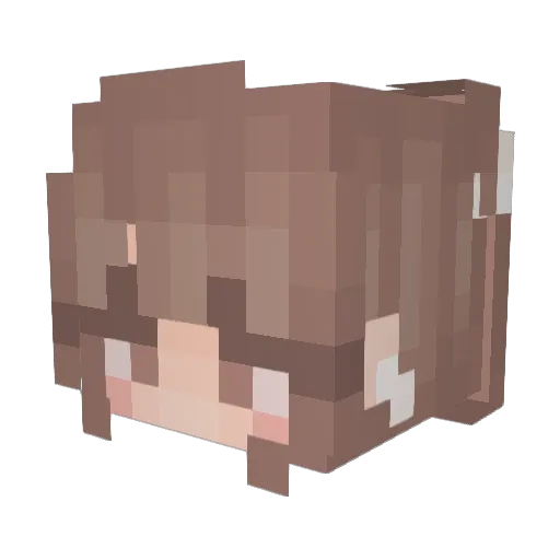sunwr Minecraft avatar head, 3D render