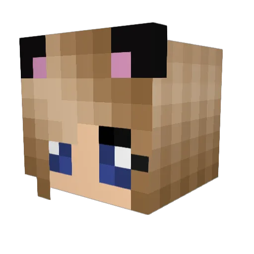 supadude100 Minecraft avatar head, 3D render