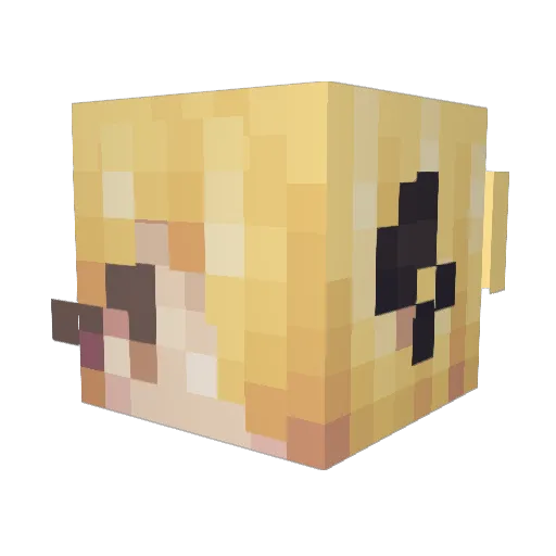 supae Minecraft avatar head, 3D render