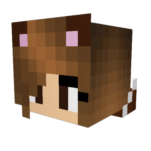 supebrmi Minecraft avatar head, 3D render
