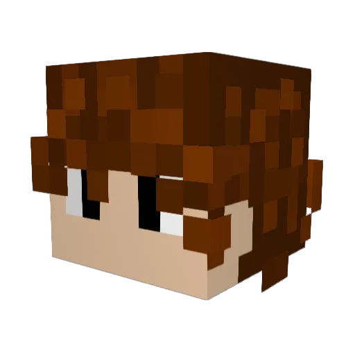 super209321 Minecraft avatar head, 3D render
