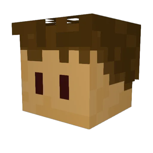 superNXT Minecraft avatar head, 3D render