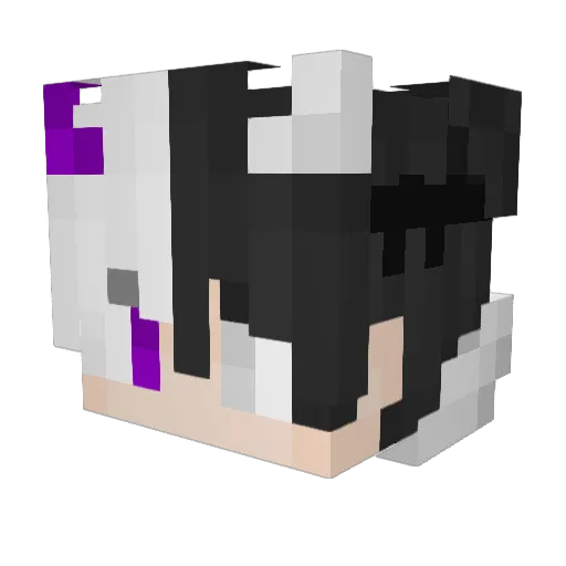 super_ZB Minecraft avatar head, 3D render