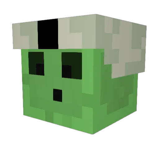 super_wog1 Minecraft avatar head, 3D render