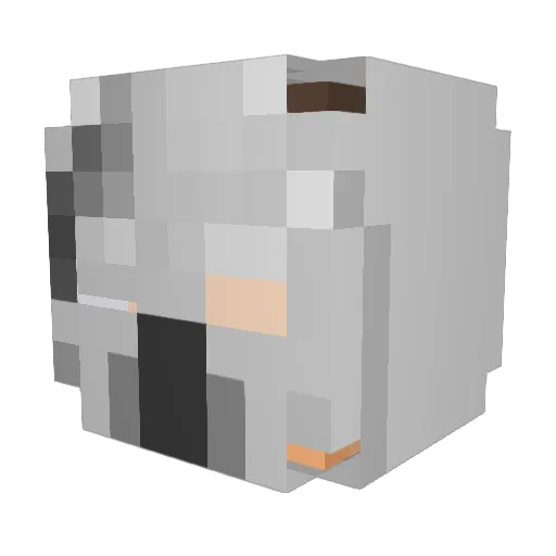superago2 Minecraft avatar head, 3D render