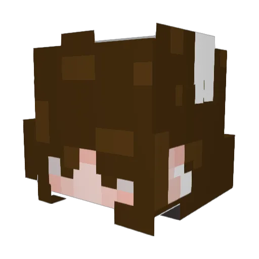 superboredtbh Minecraft avatar head, 3D render