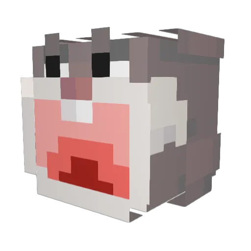 supercarrot17 Minecraft avatar head, 3D render