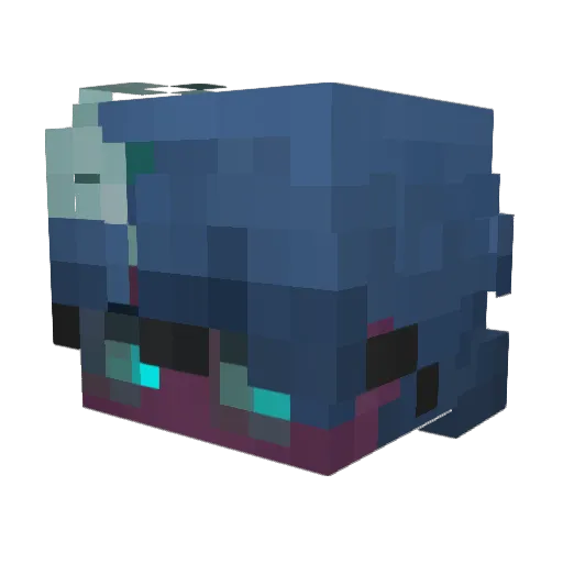 supercat9billion Minecraft avatar head, 3D render
