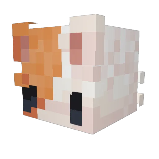 supercats35 Minecraft avatar head, 3D render