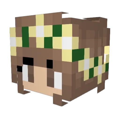 supercool1506 Minecraft avatar head, 3D render