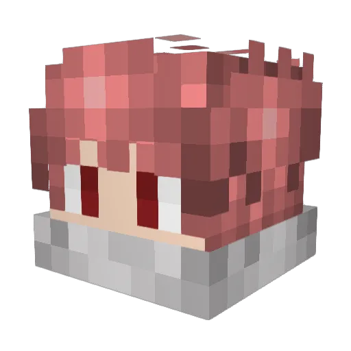 supercoolgameryt Minecraft avatar head, 3D render