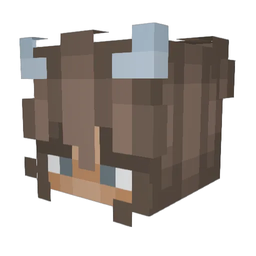 supercuteclaire Minecraft avatar head, 3D render