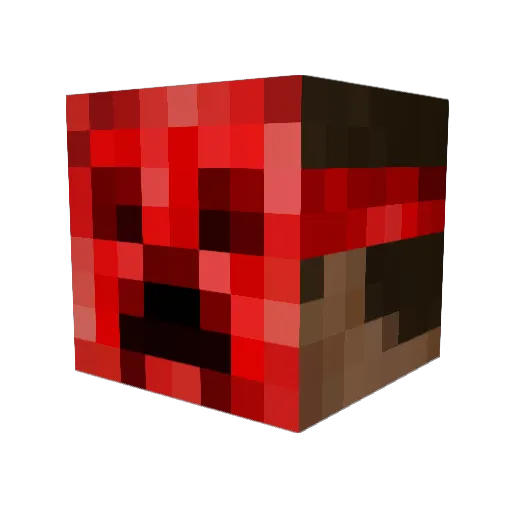 superdiego005 Minecraft avatar head, 3D render