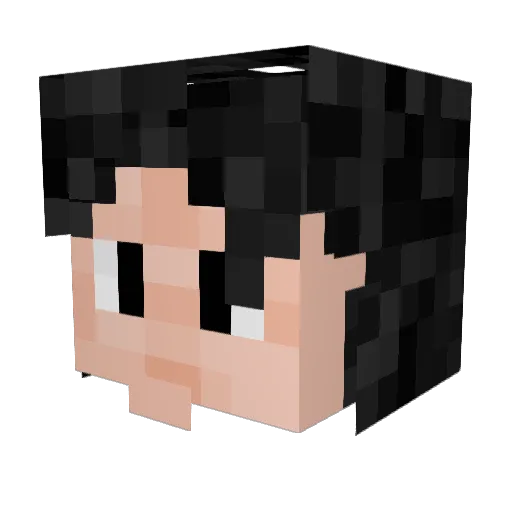 superdom64 Minecraft avatar head, 3D render