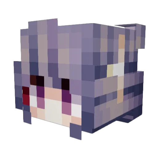 superdoufu Minecraft avatar head, 3D render