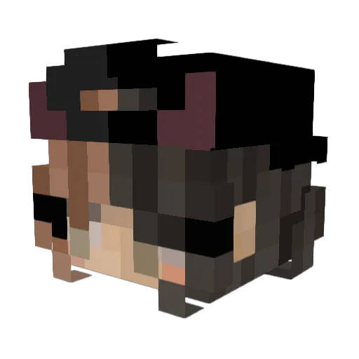 superella2004 Minecraft avatar head, 3D render
