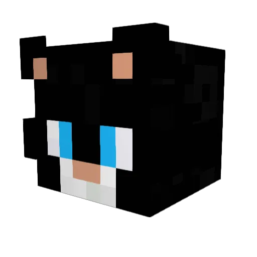 supererez10 Minecraft avatar head, 3D render