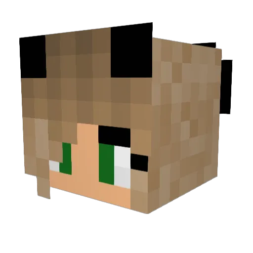 superestcat Minecraft avatar head, 3D render