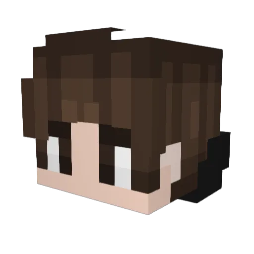 superfast852 Minecraft avatar head, 3D render